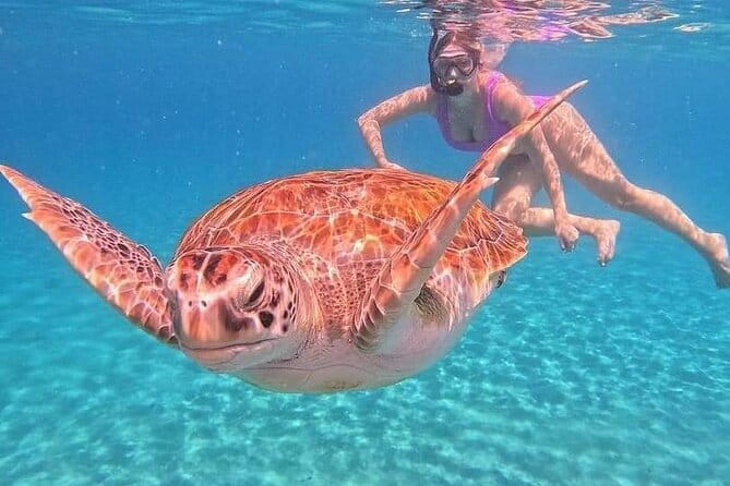 Monkey Bar and snorkling adventure at blue lagoon. - Blue Lagoon makes the morning about the water