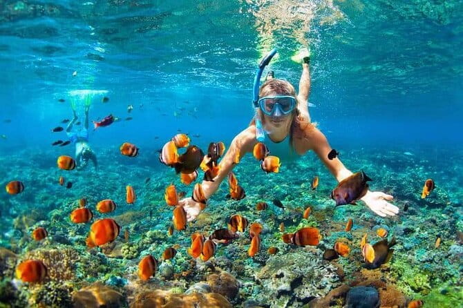 Monkey Bar and snorkling adventure at blue lagoon. - What to confirm before you leave Seminyak