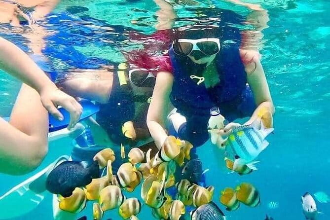 Monkey Bar and snorkling adventure at blue lagoon. - Monkey Bar at Bella Vista brings the easy afternoon