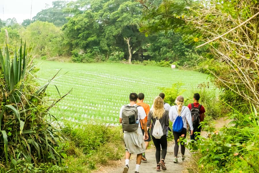 Mount Batur: 2D1N Kintamani Tour with Private Sunrise Hiking - Volcano Terrace Bali and your night in Kintamani