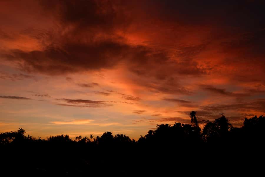 Mount Batur Sunrise Trek & Hot Springs Tour - Key points to know before booking