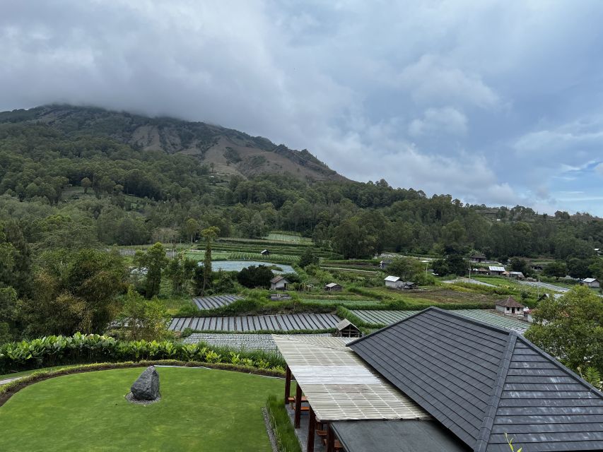 Mount Batur Sunrise Trek & Hot Springs Tour - The Kintamani coffee stop is modest but worthwhile