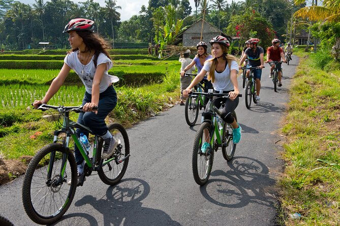 Mountain Cycling Tour - Why this ride shows you a different Bali