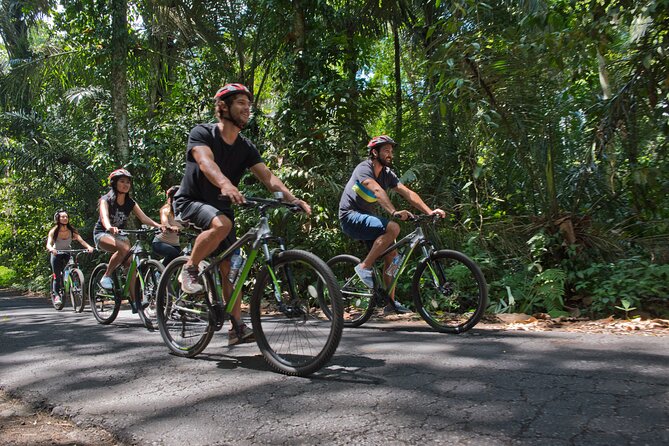 Mountain Cycling Tour - Temples, local culture, and the guide’s role