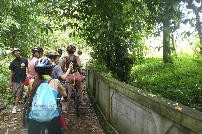 Mountain Cycling Tour - What $57 really gets you