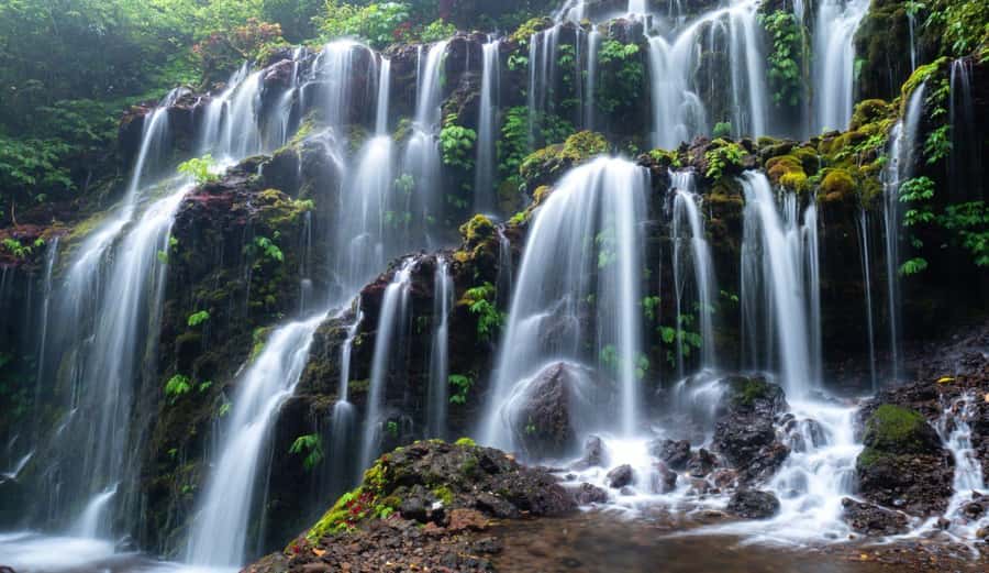 Munduk: Banyu Wana and Sekumpul Waterfall Trekking Tour - Key points to know before booking