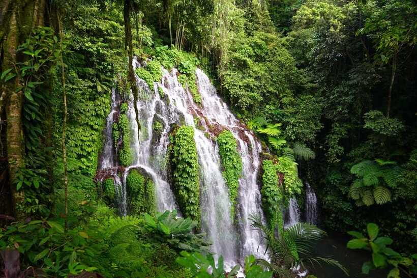 Munduk: Banyu Wana and Sekumpul Waterfall Trekking Tour - How much value do you get for $50?