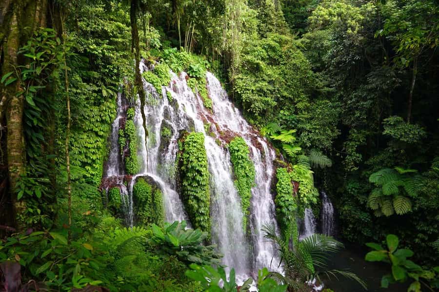 Munduk: Banyu Wana and Sekumpul Waterfall Trekking Tour - Rice terraces provide a calm start