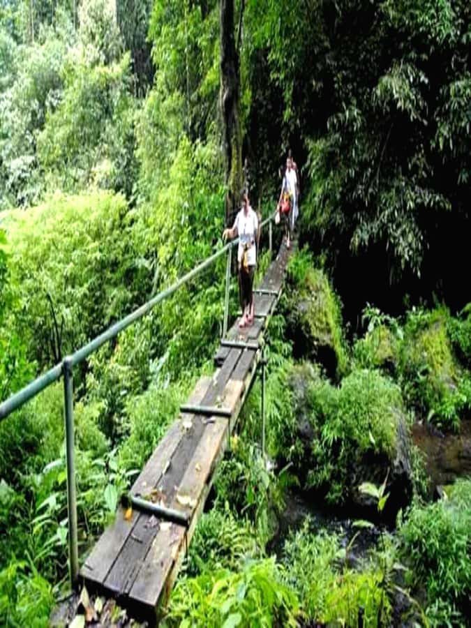 Munduk Jungle Trek to Banyumala & Pucak Manik – Private - Why Munduk is a better fit than another central Bali waterfall day
