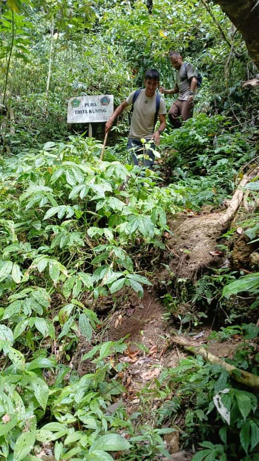 Munduk Jungle Trek to Banyumala & Pucak Manik – Private - The 15-minute walk and the plantation paths