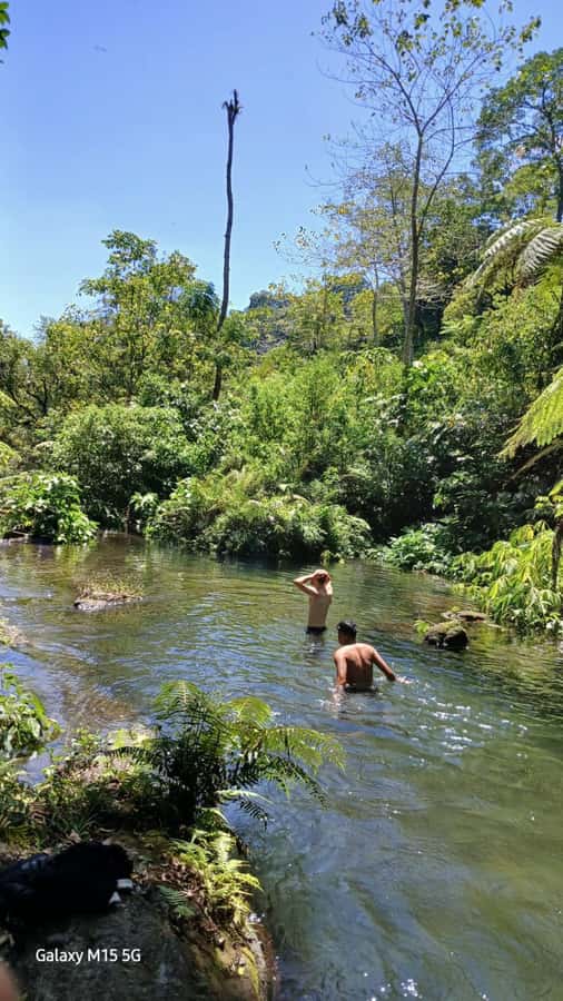 Munduk Jungle Trek to Banyumala & Pucak Manik – Private - Banyumala Twin Waterfalls and the natural pool