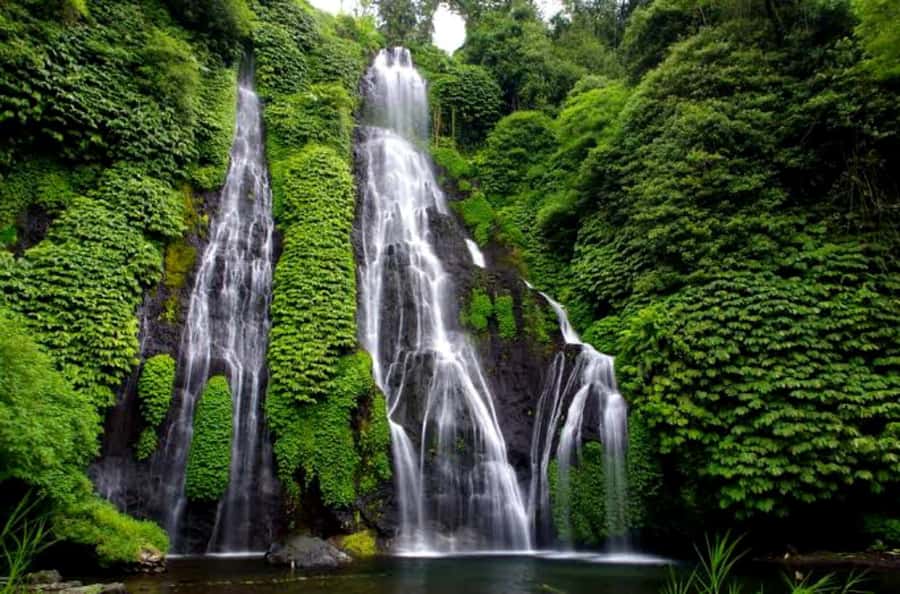 Munduk Jungle Trek to Banyumala & Pucak Manik – Private - Lunch at De Koffie Wanagiri