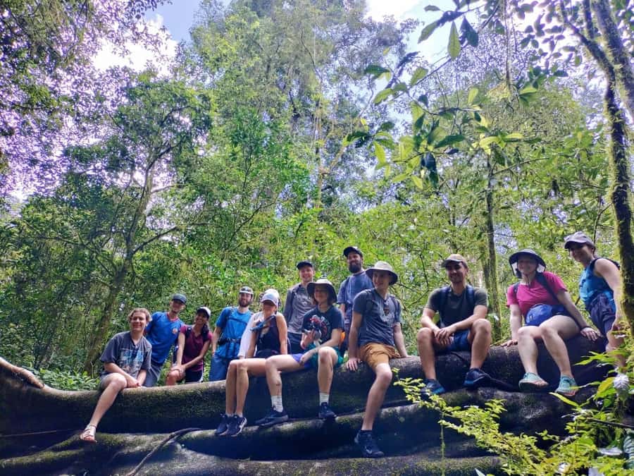 Munduk : Jungle Trekking,Canoeing,waterfall &authentic lunch - A five-hour outing built around water, forest, and food