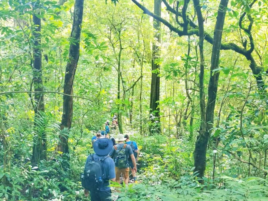Munduk : Jungle Trekking,Canoeing,waterfall &authentic lunch - Canoeing on Lake Buyan and Tamblingan