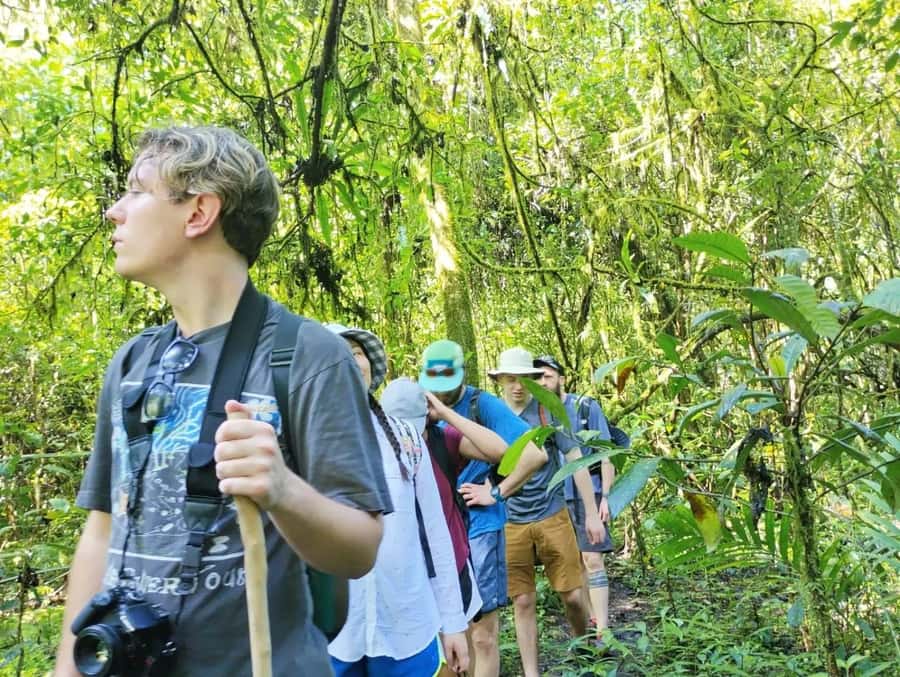Munduk : Jungle Trekking,Canoeing,waterfall &authentic lunch - Walking through the Munduk jungle