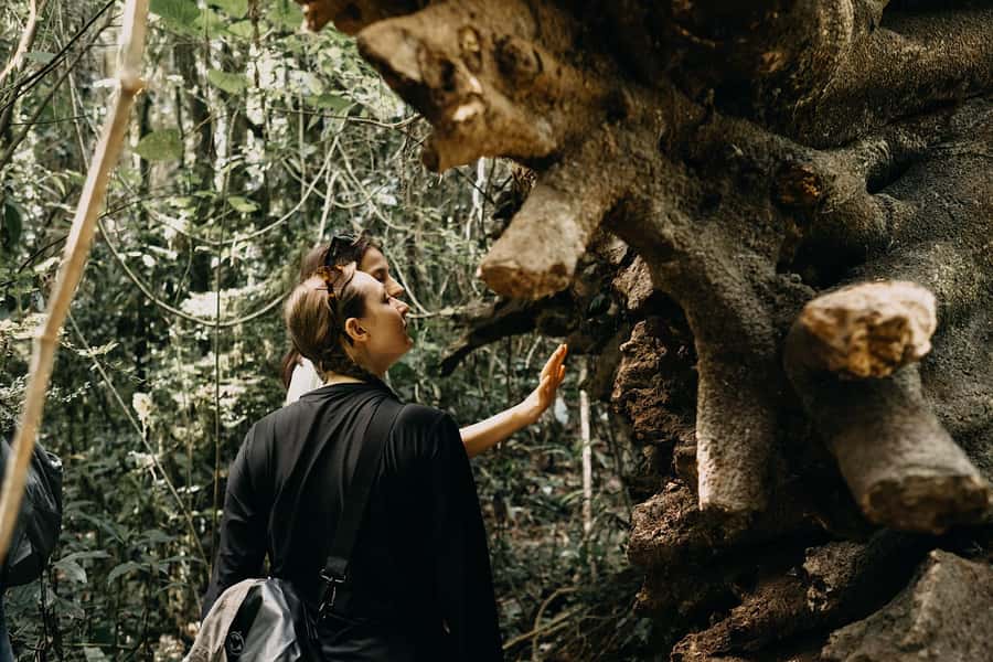 Munduk: Twin Lake Jungle Hike, Ulun Danu Temple, & Waterfall - Is $38 good value?