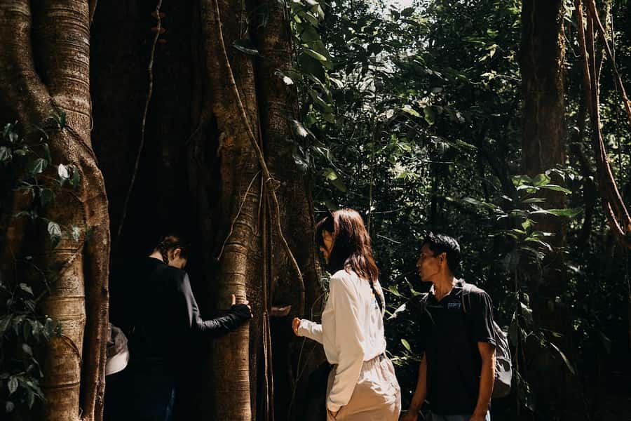 Munduk: Twin Lake Jungle Hike, Ulun Danu Temple, & Waterfall - Beginning at Bencingah Temple