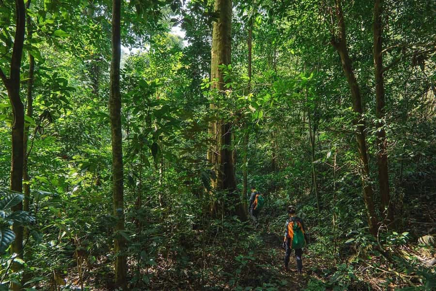 Munduk: Twin Lakes Jungle Hike with Lake Canoe and Waterfall - Fitness, clothing, and practical preparation