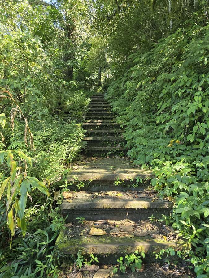 Munduk: Twin Lakes Jungle Hike with Lake Canoe and Waterfall - The canoe crossing and its welcome break