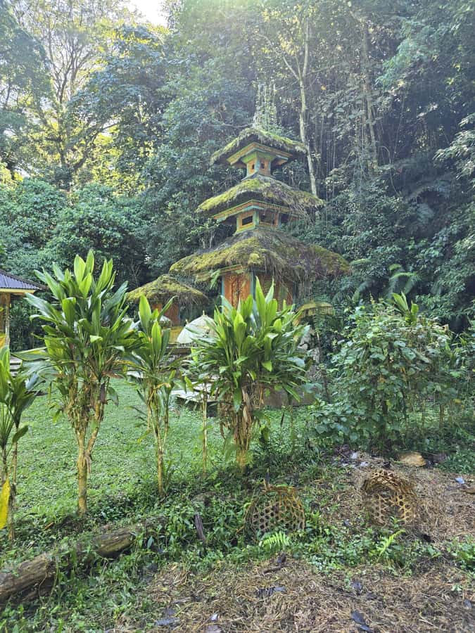 Munduk: Twin Lakes Jungle Hike with Lake Canoe and Waterfall - Banyumala Twin Waterfalls: the active finale