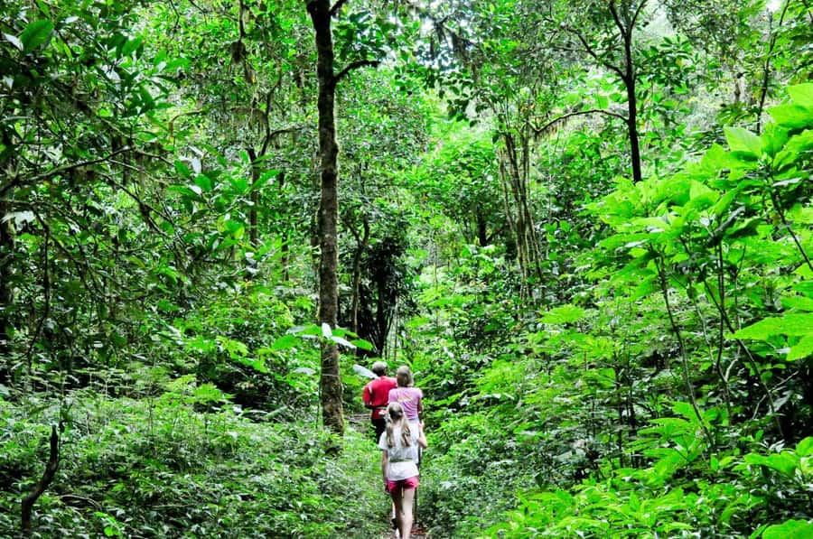 Munduk: Twin Lakes Jungle Hike with Lake Canoe and Waterfall - Hotel pickup and the road into the hills