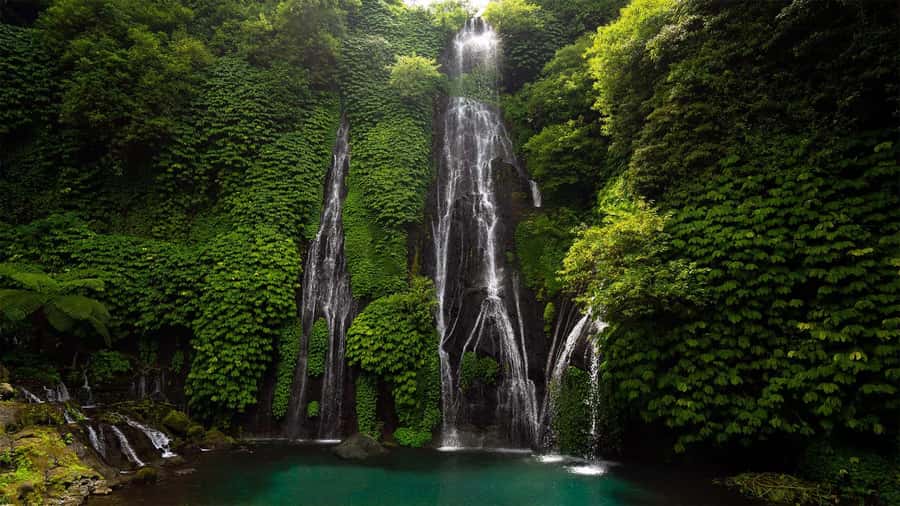 North Bali: Banyumala Waterfall and Ulun Danu Beratan Temple - Banyumala Waterfall and the 15-Minute Walk Down