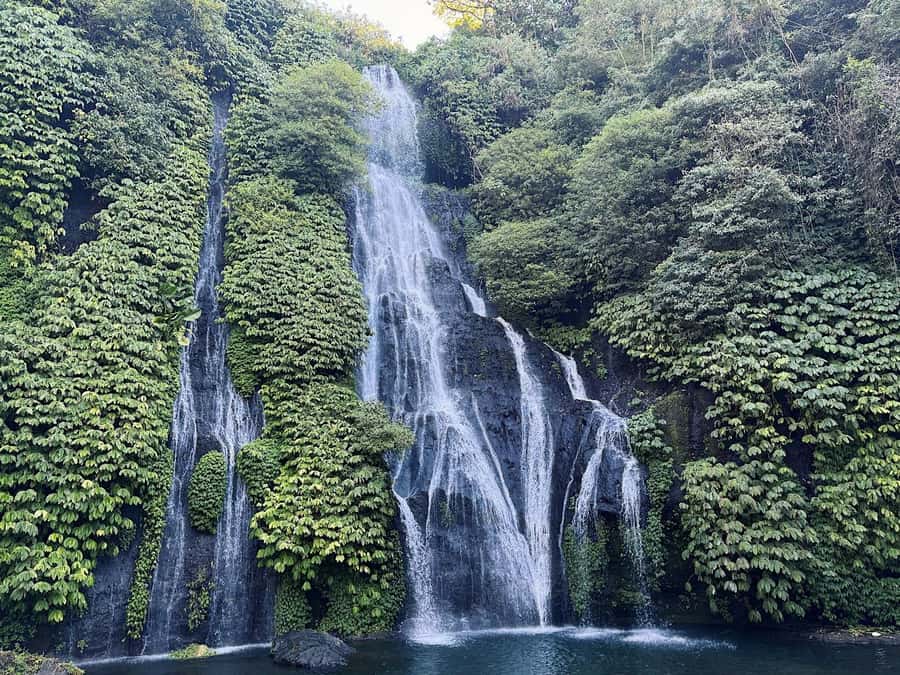 North Bali: Dolphin, Ulun Danu Temple, & Banyumala Waterfall - Timing, weather, and what can change
