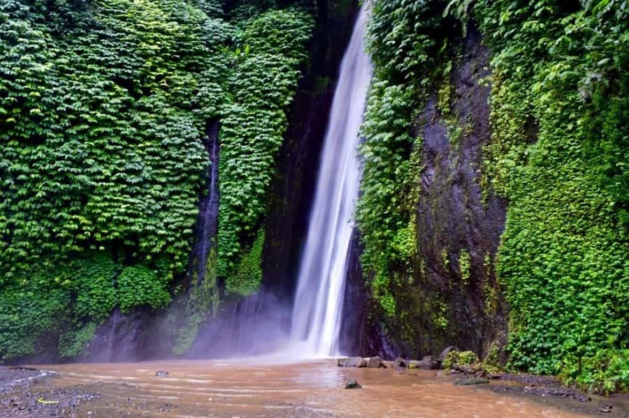 North Bali: Explore Munduk Waterfall Trekking Experience - The first steps through Munduk’s plantations