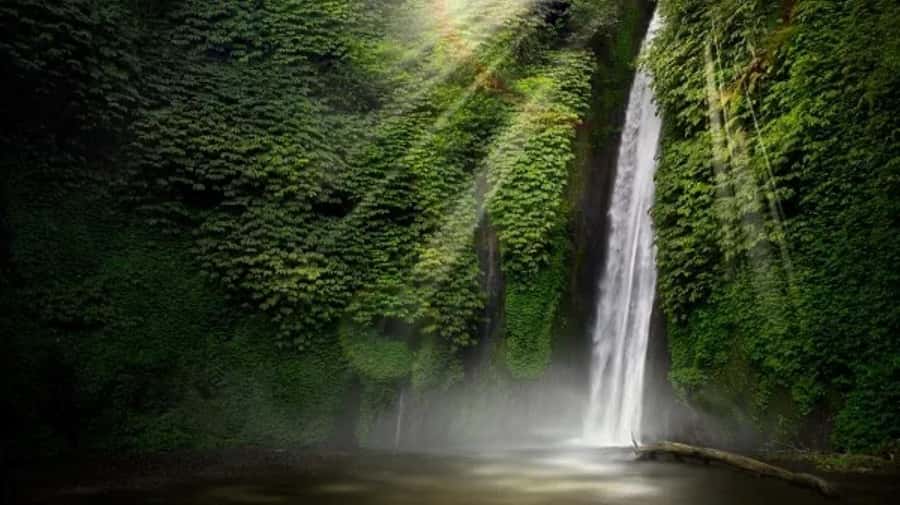North Bali: Explore Munduk Waterfall Trekking Experience - Meeting at Melanting Cottages