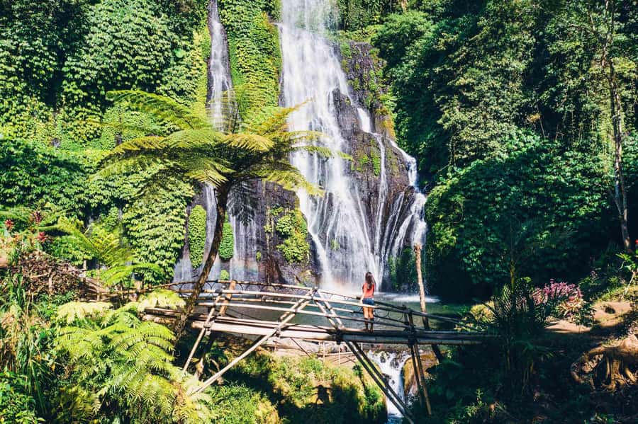 North Bali: Full-day Highlights Instagram Tour - Is $35 good value?