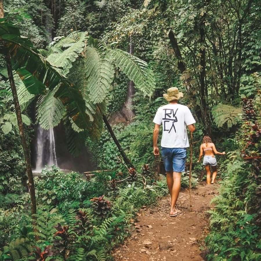 North Bali: Monkey Forest -Waterfall- Rice Terrace-Ulun Danu - Why this North Bali route works so well