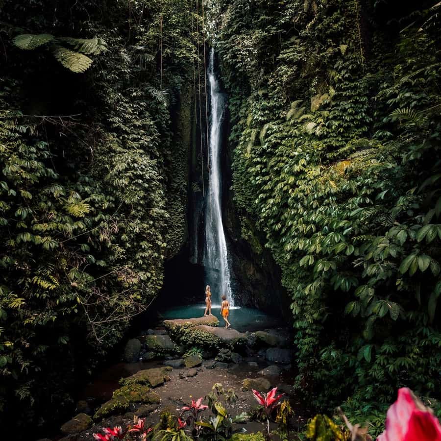 North Bali: Monkey Forest -Waterfall- Rice Terrace-Ulun Danu - Sangeh Monkey Forest and its 600 macaques