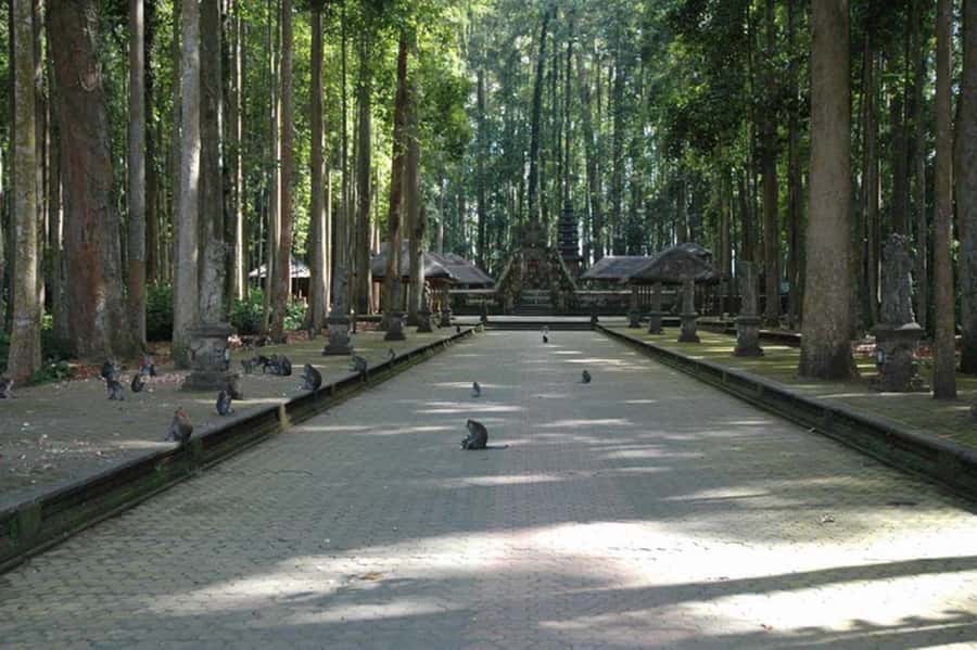 North Bali: Monkey Forest -Waterfall- Rice Terrace-Ulun Danu - Jatiluwih Rice Terrace and Bali’s shared water system