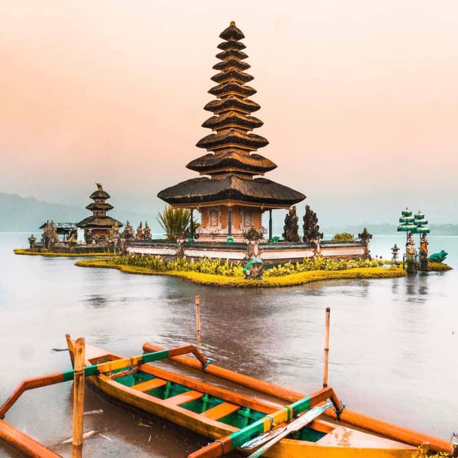 North Bali: Monkey Forest -Waterfall- Rice Terrace-Ulun Danu - What your private driver-guide adds