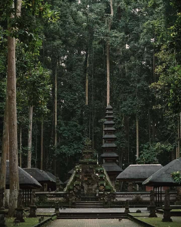 North Bali: Monkey Forest -Waterfall- Rice Terrace-Ulun Danu - Is $41 good value?
