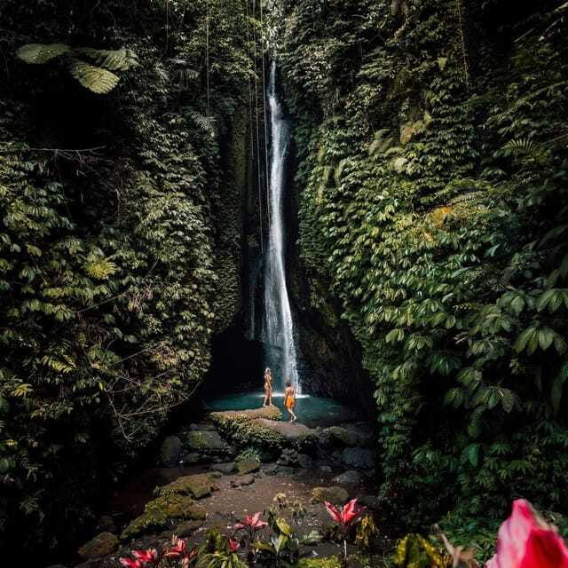 North Bali: Monkey Forest -Waterfall- Rice Terrace-Ulun Danu - Timing, walking, and practical expectations