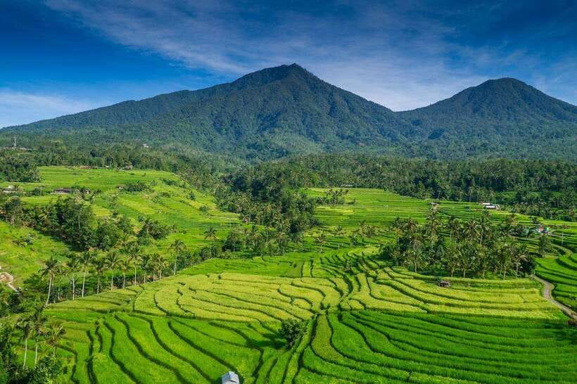 North Bali: Private Day Tour with Banyumala Waterfall - Key points at a glance