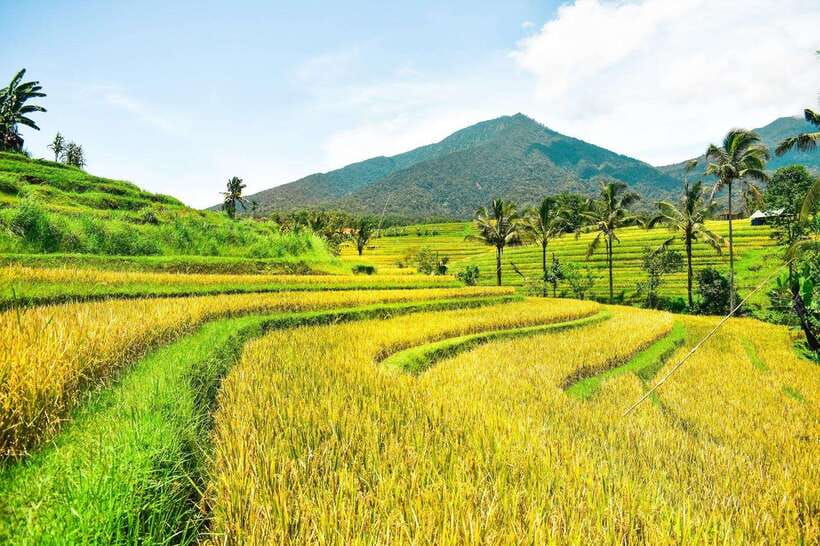 North Bali: Private Day Tour with Banyumala Waterfall - Guides can shape the whole day