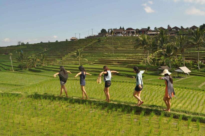 North Bali: Private Day Tour with Banyumala Waterfall - Is $49 per person good value?