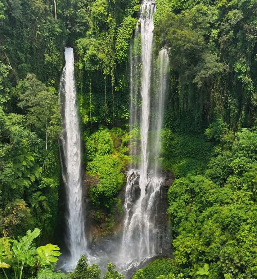 North Bali: Sekumpul and Banyumala Waterfalls & Rice Terrace - The early pickup and private car