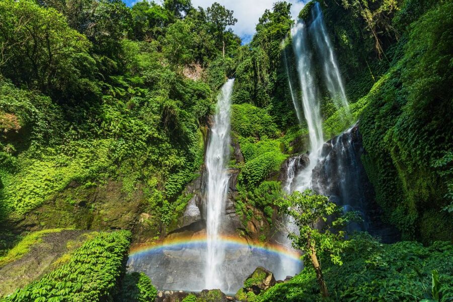 North Bali: Sekumpul Waterfalls and Ulun Danu Temple Tour - Who should book this experience?