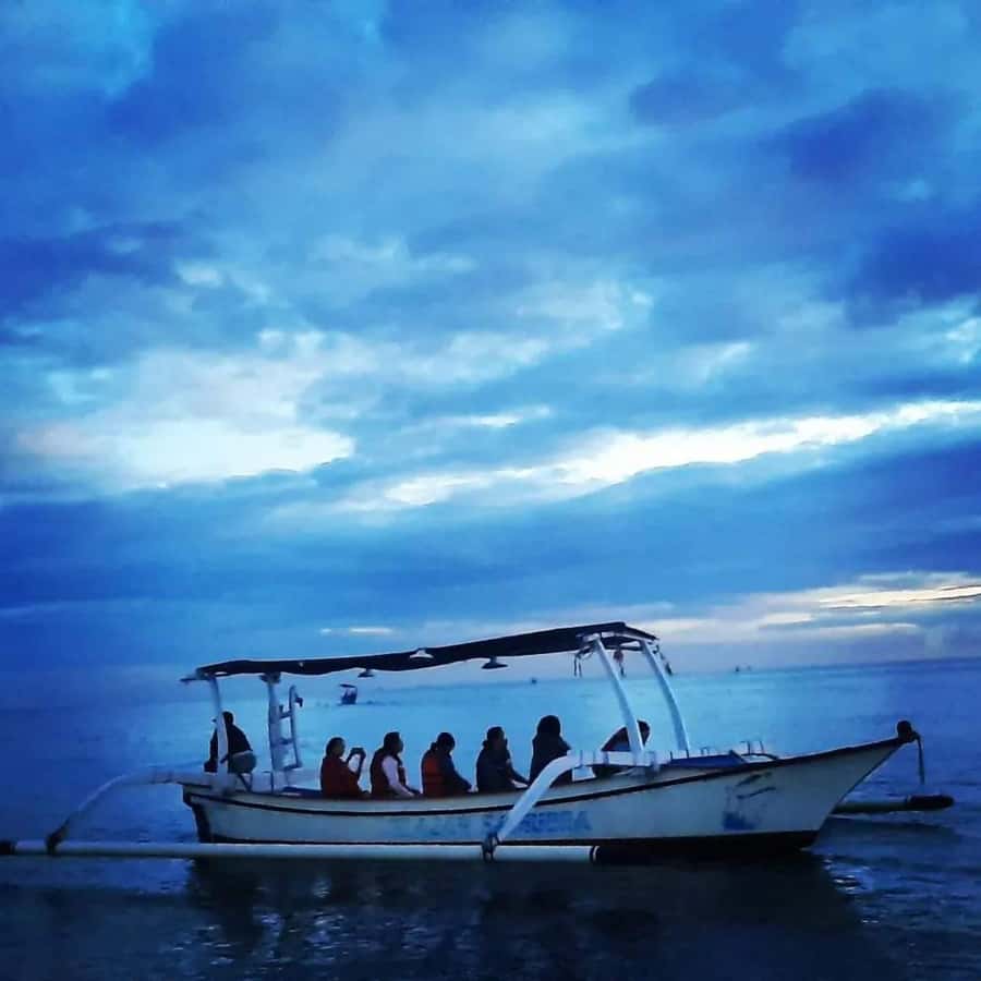 North Bali : Sunrise Dolphin Trip at Lovina Beach - Lovina at sunrise, with dolphins and a moral question