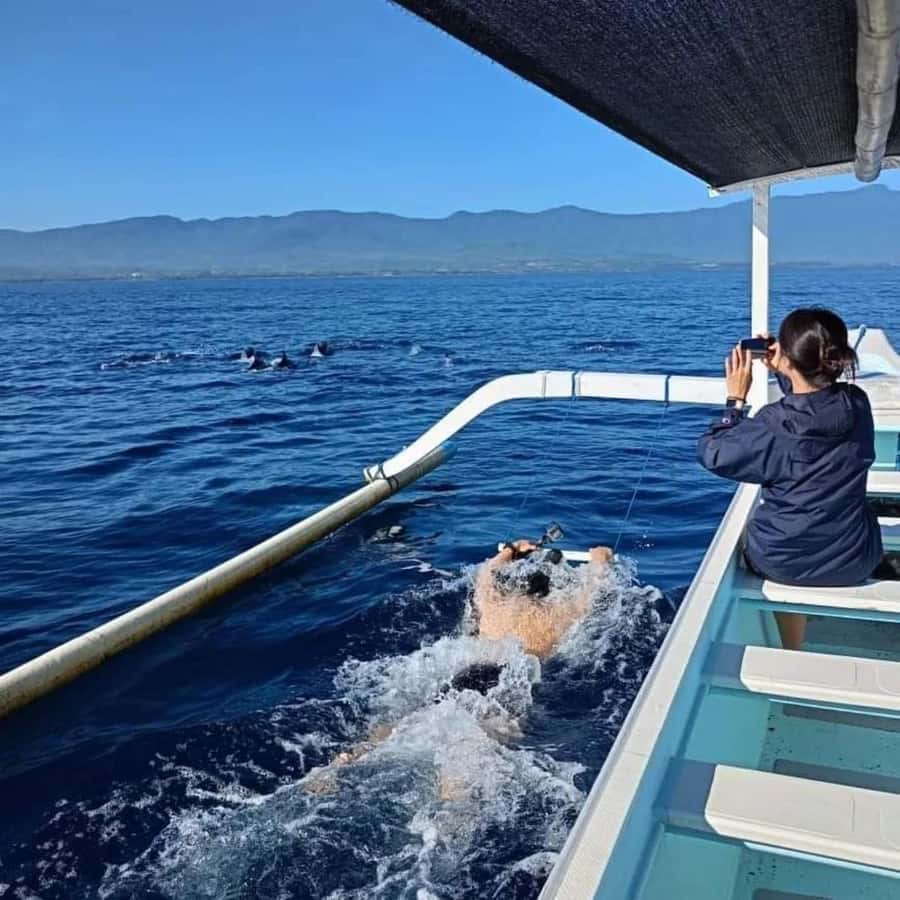 North Bali : Sunrise Dolphin Trip at Lovina Beach - Adding Aling-Aling Waterfall after the dolphins