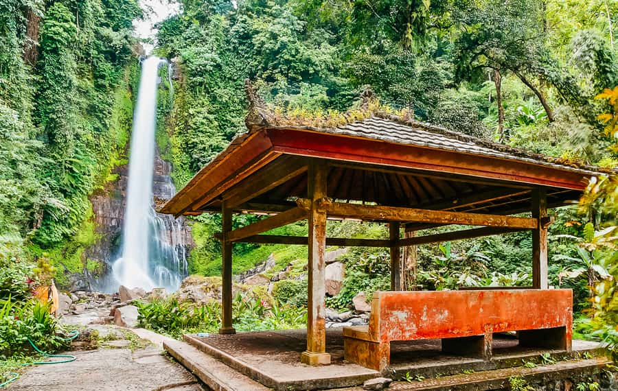 North Bali: Sunrise Tour with Dolphins, Waterfalls & Temples - Gitgit Waterfall and its cool forest setting