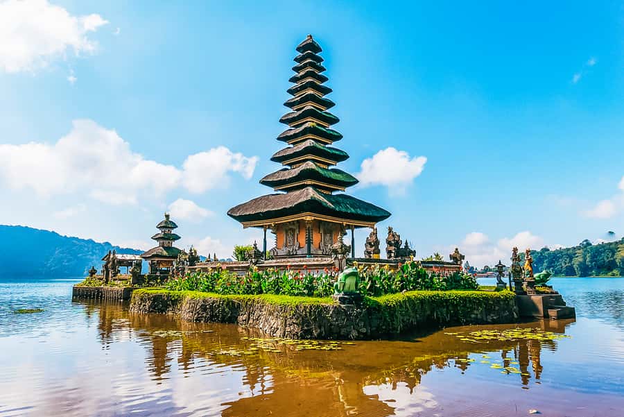 North Bali: Sunrise Tour with Dolphins, Waterfalls & Temples - What the $55 price includes