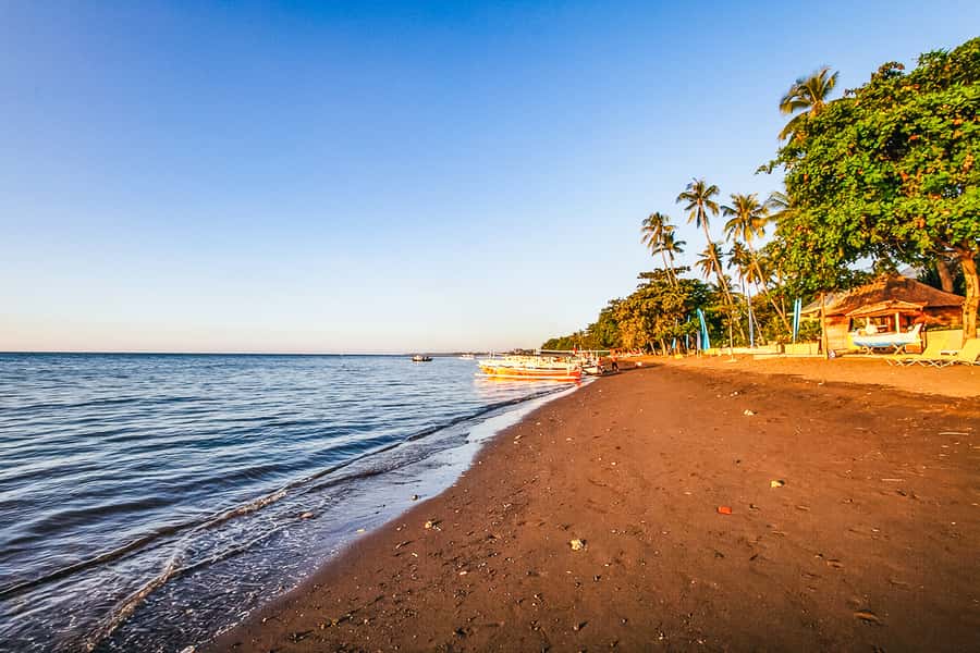 North Bali: Sunrise Tour with Dolphins, Waterfalls & Temples - How the driving and guiding affect the day