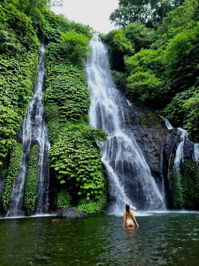 North Bali Trip with 2 Hidden Waterfalls Private Tour - Key points to know before you book