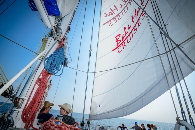 Nusa Lembongan: Island Discovery Cruise - Sailing from Mushroom Bay on the Aristocat