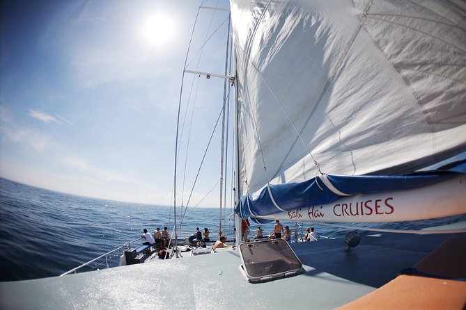 Nusa Lembongan: Island Discovery Cruise - Crew service and comfort on board