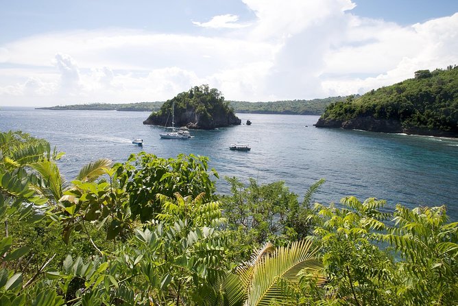 Nusa Lembongan: Island Discovery Cruise - Crystal Bay and the snorkeling stop
